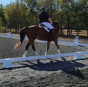 Meet your Posher, Cary